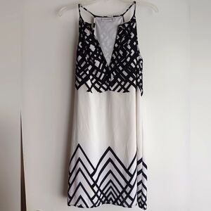 💛Black and White Sleeveless Dress EUC